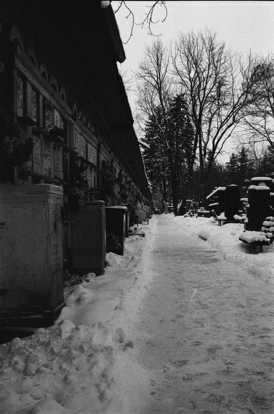 кадр #37